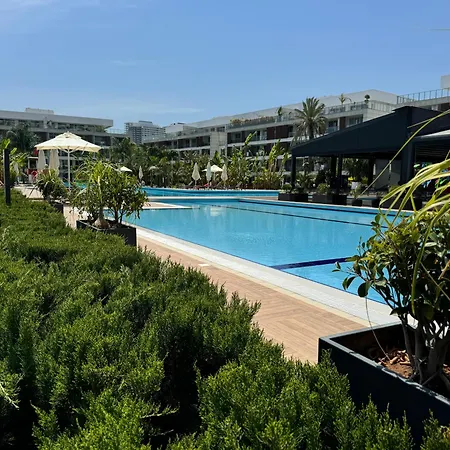 Nothern Cyprus Courtyard Long Collection & *